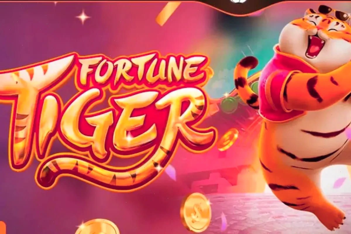 ক্রিকেট ও ক্যাসিনো বিভাগে tk999 apk নেভিগেশন